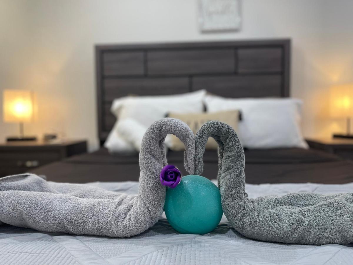 Modern Santorini Suite Houston Nrg Tmc Luxurious Walkable المظهر الخارجي الصورة